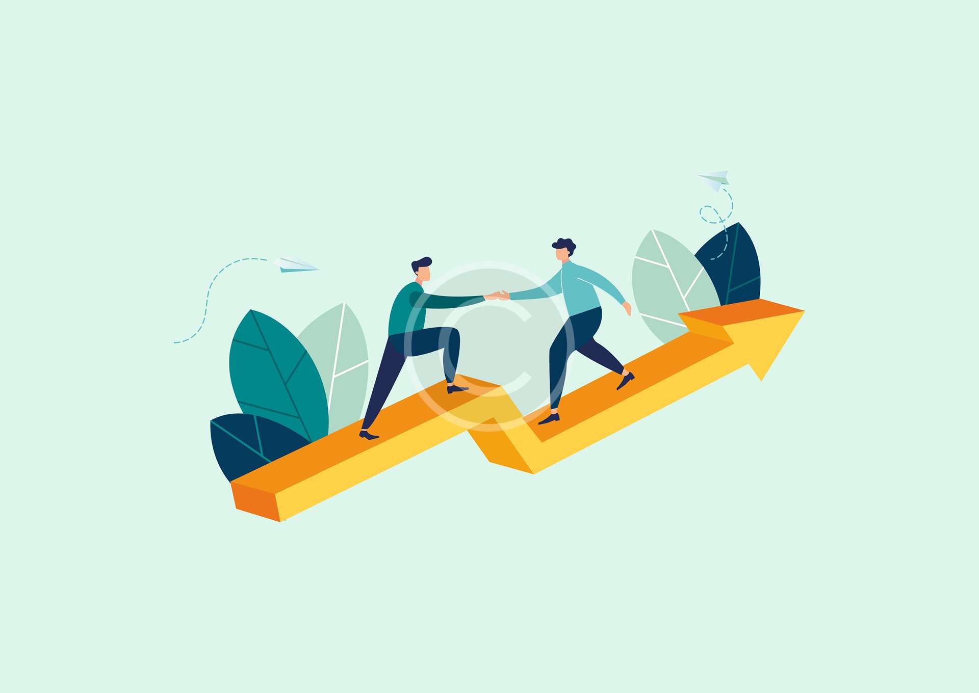Web design and development